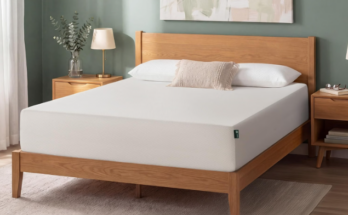 Zinus 12 Inch Queen Green Tea Memory Foam Mattress